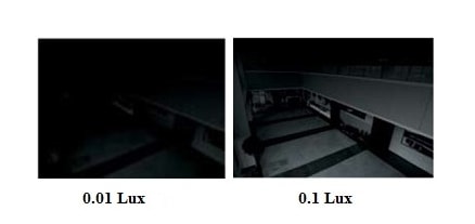 vi-du-lux