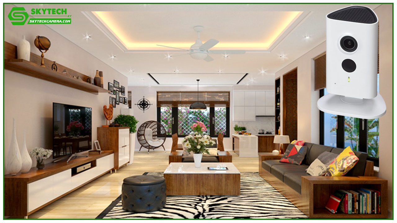 camera-dahua-ipc-c35p-2