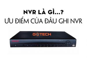 nvr-la-gi
