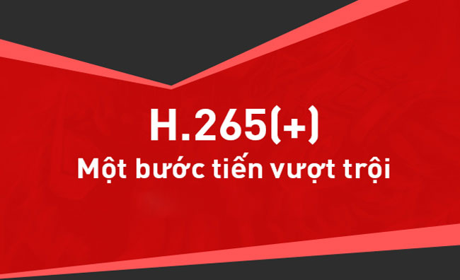 h265