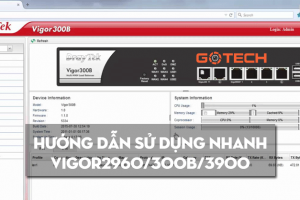 huong-dan-su-dung-nhanh-vigor2960-300b-3900