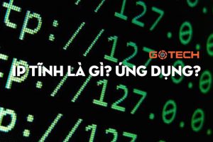 ip-tinh-la-gi