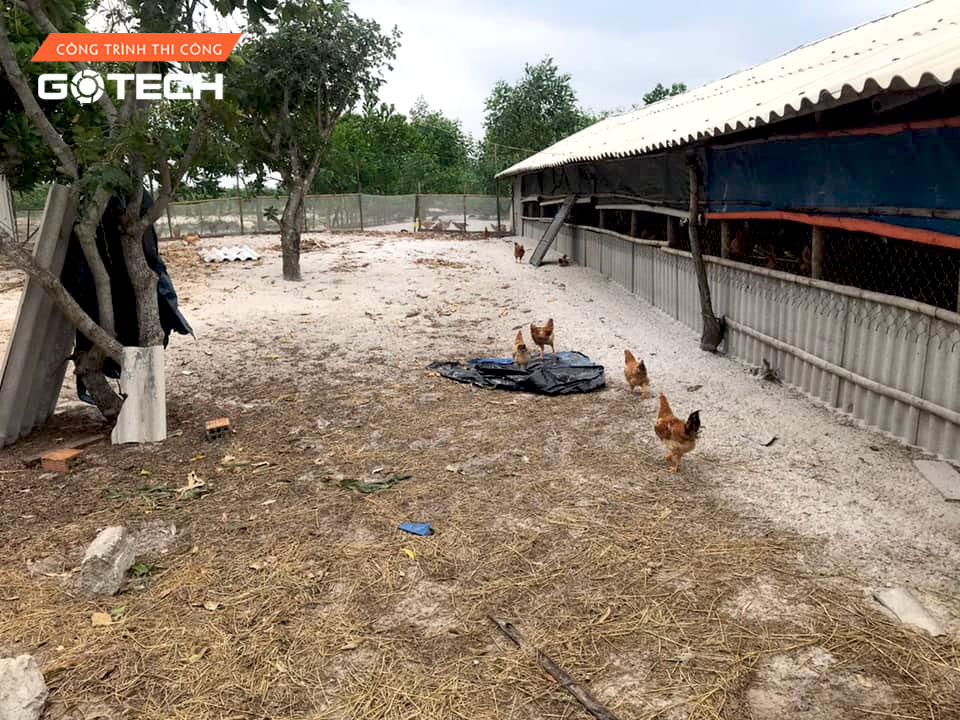 hinh-anh-thi-cong-camera-tai-trai-ga-hoa-vang