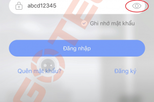 cach-lay-mat-khau-tai-khoan-camera-yoosee-tren-dien-thoai-4