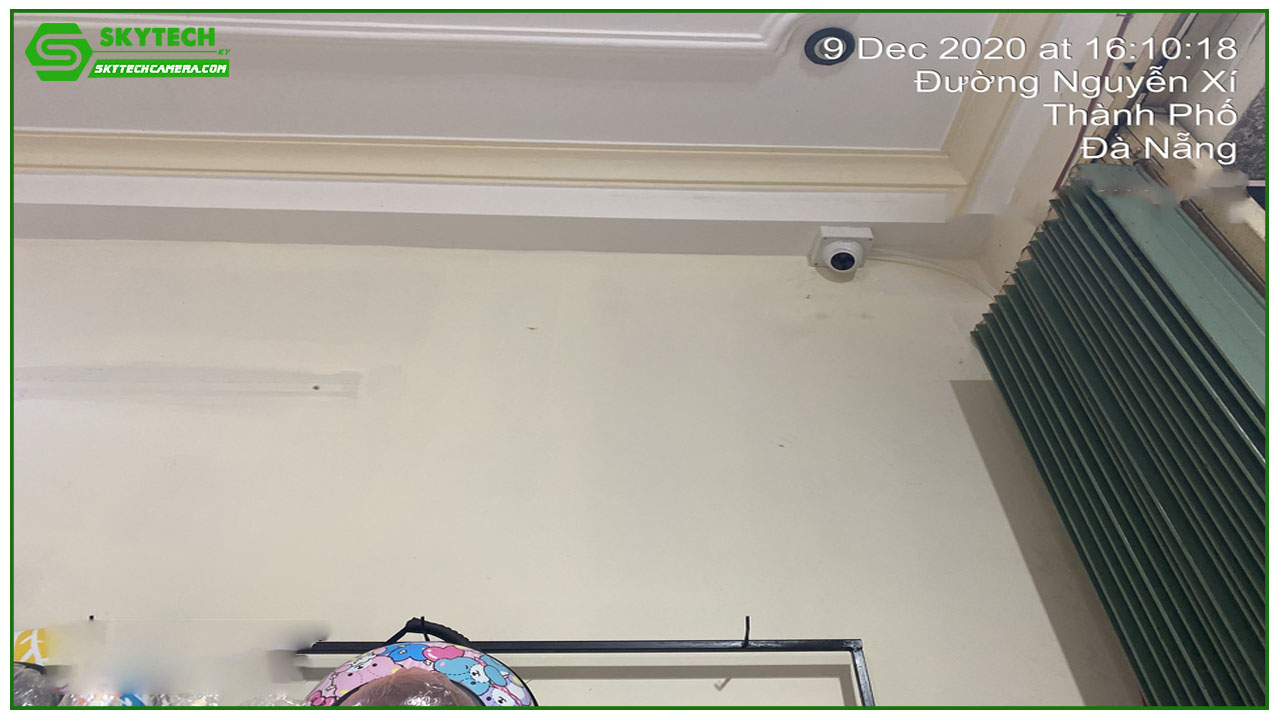 thi-cong-03-camera-shop-thu-cung-nhat-minh-04-bau-nang-2