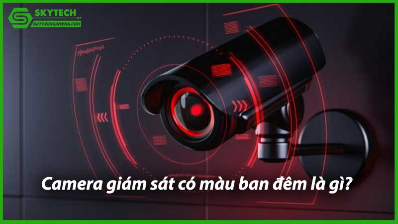 camera-giam-sat-co-mau-ban-dem-la-gi-1