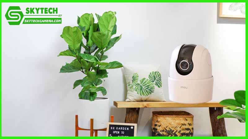 Cách tối ưu hóa hiệu quả giám sát bằng camera Imou IPC-TA42CP