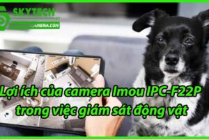 Lợi ích của camera Imou IPC-F22P trong việc giám sát động vật