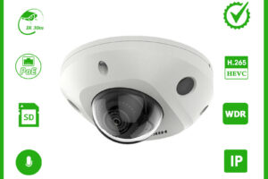 camera-ip-dome-hong-ngoai-2mp-hikvision-ds-2cd2523g2-is-2